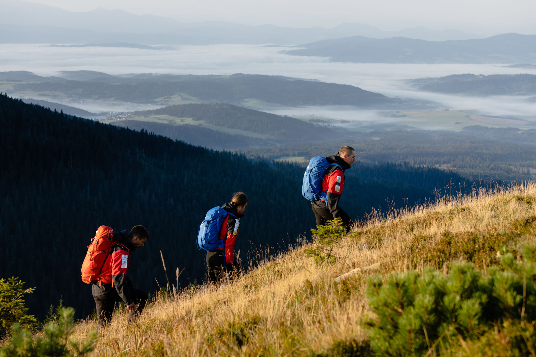 Zdjęcie przedstawiające: Wskazówki dla turystów